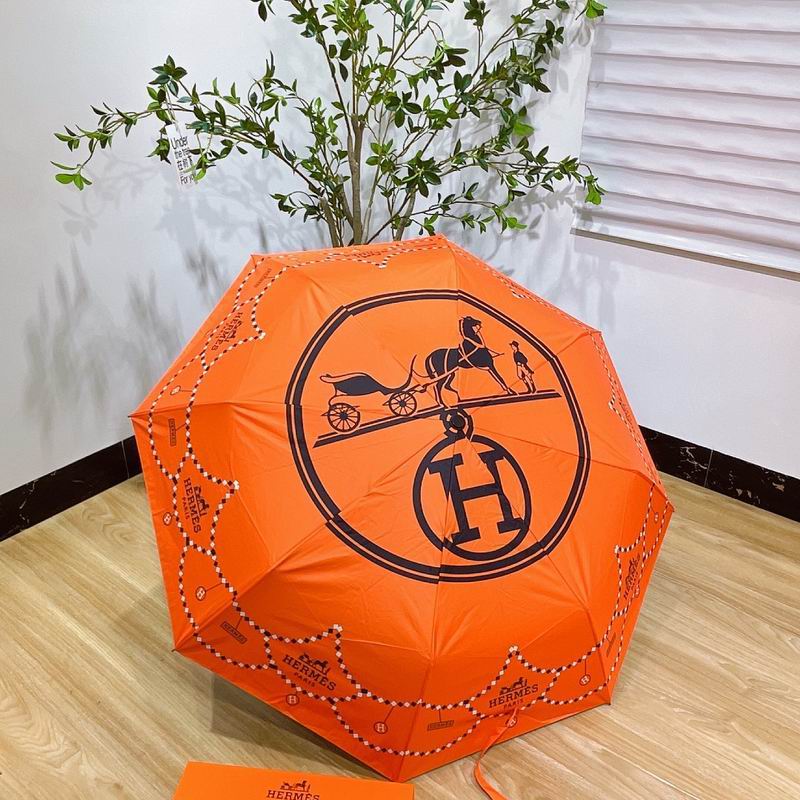 Hermes Umbrella E03 (3)